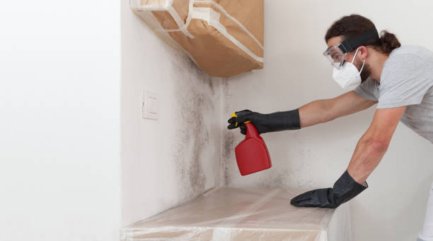 Professional Black Mold Remediation technician working in Lexington, MI