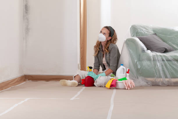 Reliable Black Mold Remediation contractor in Lexington, MI by 24 Hour Mold Removal
